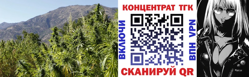 что такое Гусиноозёрск ТГК жижа