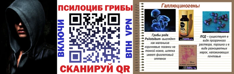 Псилоцибиновые грибы Psilocybe  MEGA зеркало  Гусиноозёрск 